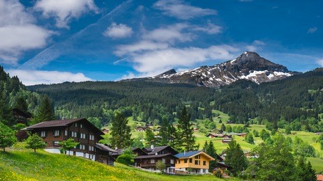 fabulous alpine wooden houses, green fields and famous touristic grindelwald town with high north face of eiger mountains, bernese oberland, switzerland, europe

