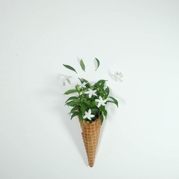 ice cream cone with flowers and leaves on white background, fruit concept. flat lay.
