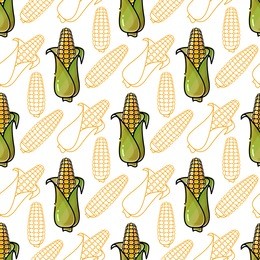 seamless pattern with corn. vector background in autumn style. thanksgiving holiday texture on white.