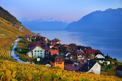 vineyard terraces in the famous lavaux wine region (unesco world heritage site since 2007) overlooking the northern shores of lake geneva, canton of vaud, switzerland
