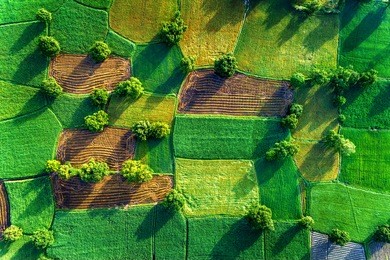 royalty high quality free stock image aerial view of rice fields in mekong delta, tri ton town, an giang province, vietnam. ta pa rice field.
