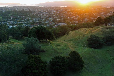 the glowing, green hill side of mount eden, auckland, new zealand, with its typical sheep on it. the warm sunset gives the suburbs, the ocean and the mountains in the background a romantic feeling.