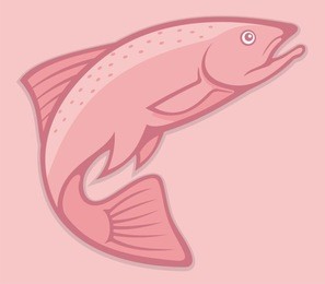 illustration of a jumping salmon on pink background.