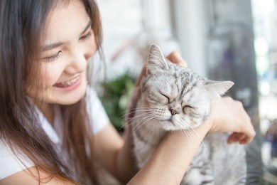 student asian girl playing with her cat in the coffee shop.