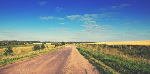 asphalt road.summer landscape.