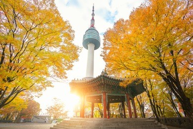 n seoul tower and chinese pavilion in autumn with morning sunrise, seoul city, south korea
