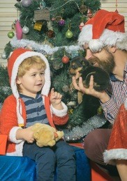 christmas happy child and father with puppy. santa claus kid, bearded man at christmas tree. winter holiday, dog year. xmas party celebration, fathers day. new year of dog, small boy and man.