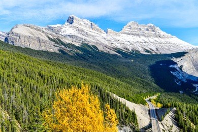 the road 93 "icefield parkway" in autumn jasper national park,canada