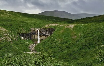 svartifoss waterfall surrounded by basalt columns in the south of iceland. skaftafell national park in iceland
