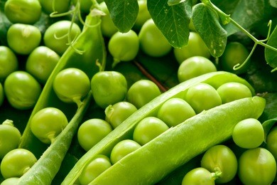 green peas in the pod