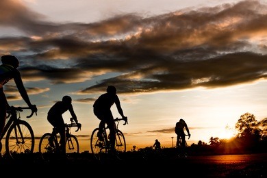 group of  men ride  bicycles at sunset with sunbeam over silhouette trees background.