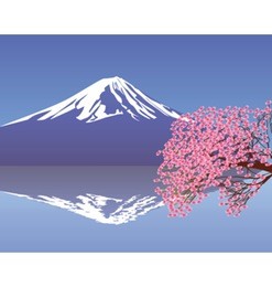 branches of cherry blossoms against the backdrop of mount fuji