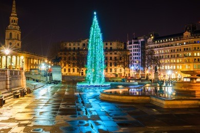 trafalgar square with christmas tree 