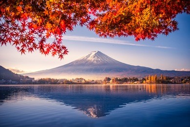 colorful autumn season and mountain fuji with morning fog and red leaves at lake kawaguchiko is one of the best places in japan