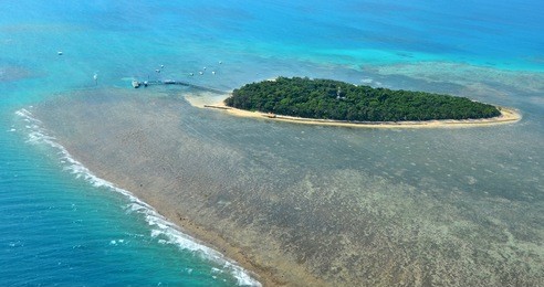 aerial view of green island reef at the great barrier reef near cairns in tropical north queensland, queensland, australia.