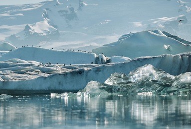 beautiful vibrant picture of icelandic glacier and glacier lagoon with water and ice in cold blue tones, iceland, glacier bay, birds on icebergs in the water, focus on the birds.