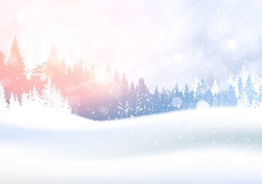 day in winter forest woodland landscape white snowy pine tree woods background flat vector illustration