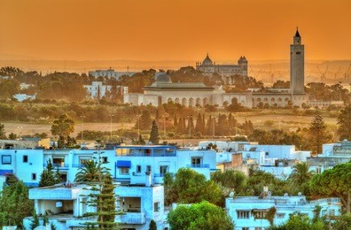 view of sidi bou said and carthage near tunis in tunisia