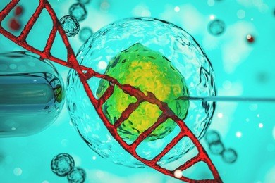 in vitro fertilisation. ivf. cell under microscope. custom genome editing in vitro, gene editing embryo baby genetically engineered 3d rendering 