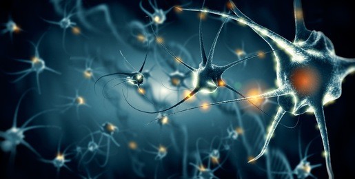 active nerve cells; 3d illustration