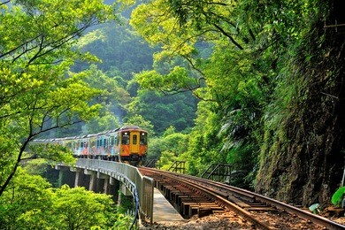 taiwan's summer, the bright colors of the green forest happy driving train