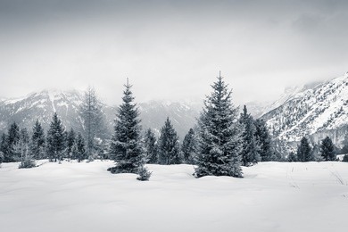 winter christmas mood in val di fassa, dolomites, italy