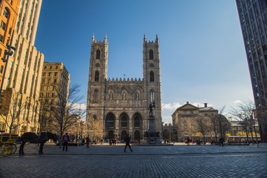 basilique notre dame de montreal in autumn