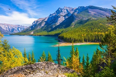 the lake with turquoise water is surrounded by coniferous