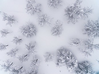 beautiful winter scenery,drone view