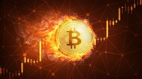 golden bitcoin coin in fire with bull trading stock chart. bitcoin gold and cash lightning blockchain hard fork concept. cryptocurrency coin illustration on polygon peer to peer network background.