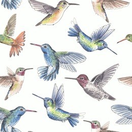 seameless pattern with hummingbirds painted with watercolors and ink. element for design.