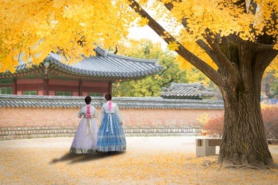 asian korean woman dressed hanbok in traditional dress walking in gyeongbokgung palace in autumn season at seoul, south korea.
