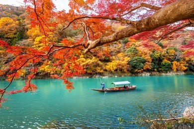 boatman punting the boat at river. arashiyama in autumn season along the river in kyoto, japan.
