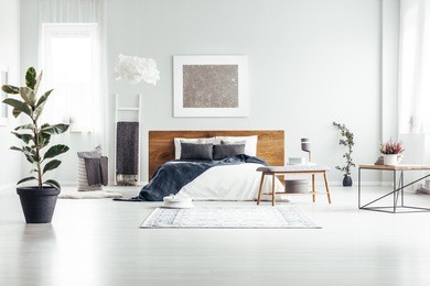 plant in black pot in spacious white bedroom interior with bed with wooden bedhead against a wall with silver painting