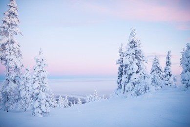 winter scene lapland