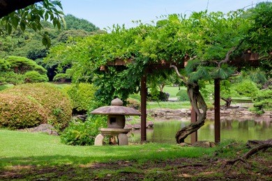 shinjuku gyoen national garden. tokyo. japan.
