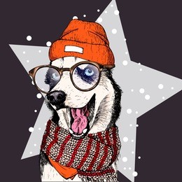  portrait of siberian husky dog wearing beanie, glasses and scarf. isolated on star and snow. skecthed colored illustraion. christmas, xmas, new year. party decoration, promotion, greeting card.