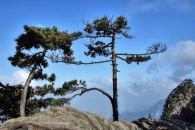top of the hills at mount jiuhua, nine glorious mountains, one of the four sacred mountains of chinese buddhism located in qingyang county in anhui province in china.  