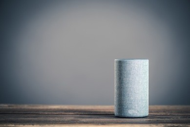 electronic equipment smart speaker