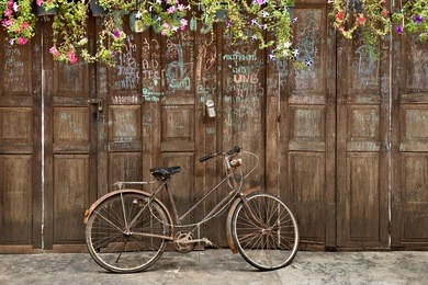 vintage bicycle in front of the old rustic house, covering with the flower on the roof and many text on the wall. classic bike and old house decorated perfectly look like retro style