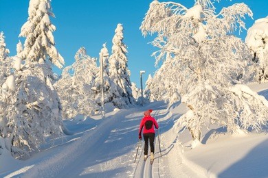 woman cross country skiing