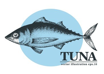 hand drawn sketch seafood vector vintage illustration of tuna fish. can be use for menu or packaging design. engraved style. retro illustration.