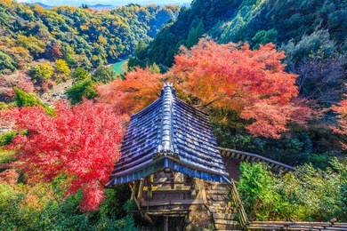 arashiyama autumn, japan autumn image. traditional architecture in the beautiful japanese red leaves. arashiyama, kyoto, japan.