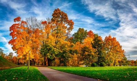 colorful autumn park in sunny bright day. beautiful autumn landscape with yellow and red trees. scenery colored nature