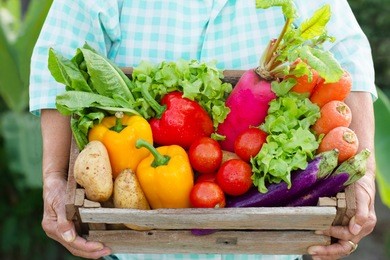senior woman and many different vegetable on hand. fresh vegetables just picked from her biological garden there are truly and cultivated by her care. healthy eating, vegetarian, gardening and nature 