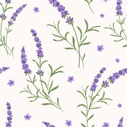 beautiful violet lavender flowers retro background on white