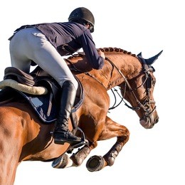 equestrian sports, horse jumping event, isolated on white background