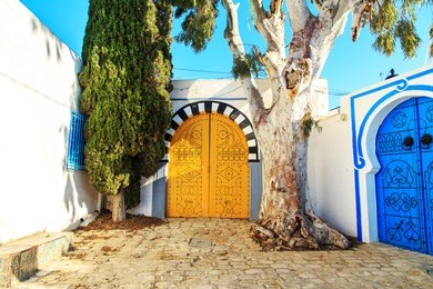 traditional blue doors with ornaments  in sidi bou said, tunisia.