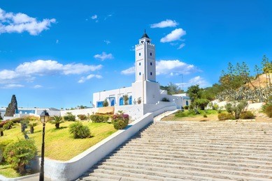 view of white mosque in sidi bou said village. tunisia, north africa.
