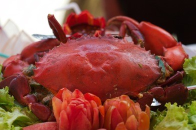 big crab on plate